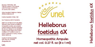 Helleborus Foetidus 6x Ampules (Helleborus Foetidus 6x Ampules)
